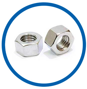 Stainless Steel 304L Nuts