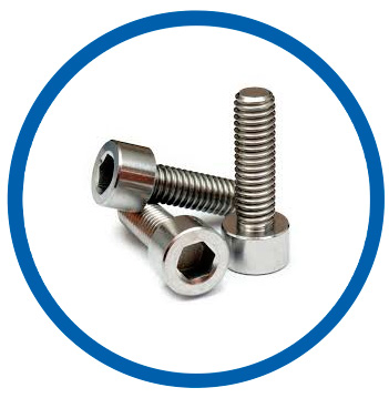 Pure Titanium socket head cap screw