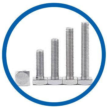 S7 Steel square bolts