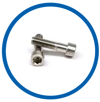 ASTM B425 UNS N08825 socket cap screws ASTM B425 UNS N08825 socket cap screws