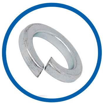 304H SS Spring Washer