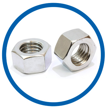 SS 317 hex nuts