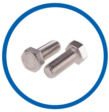 SS 317L heavy hex bolt