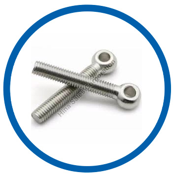 SS 501 eye bolts