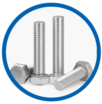 SS 904L heavy hex bolt SS 904L heavy hex bolt