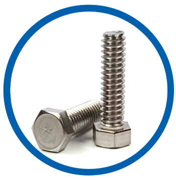 Stainless steel 316 bolts