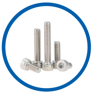 Stainless steel 316L socket head cap screw
