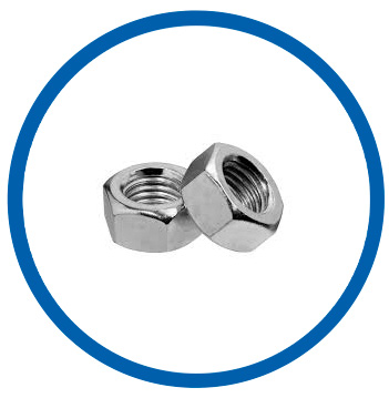 Stainless steel 501 hex nuts