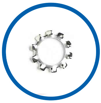 ASTM A193 SS 304L  Star Washers