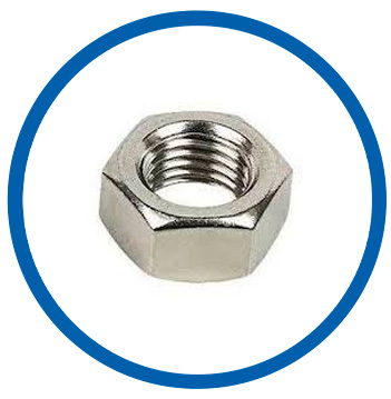 Super duplex stainless nuts Super duplex stainless nuts