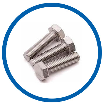 SUS 309 hex bolts