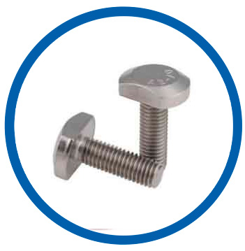 WNR 1.4301  T Bolts