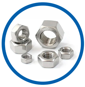 Type 316 Stainless Steel heavy hex nuts