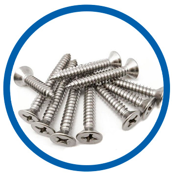 Type 904L SS screw Type 904L SS screw