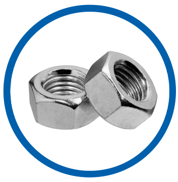 UNS S31603 hex nuts
