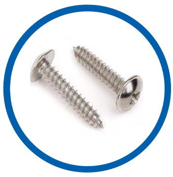 WNR 2.4819 screw WNR 2.4819 screw