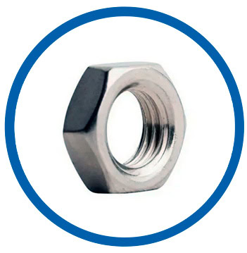 WNR 2.4856 lock nut