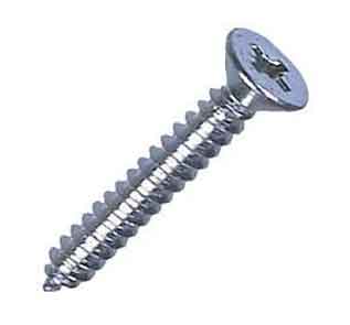 2507 Super Duplex Self Tapping Screws 2507 Super Duplex Self Tapping Screws Manufacturer in India