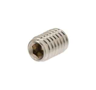 304 Stainless Steel Socket Set Screws